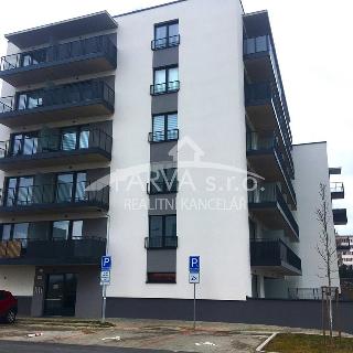 Pronájem bytu 2+kk 63 m² Plzeň, Františka Kováříka