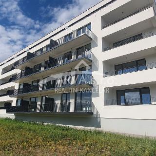 Pronájem bytu 2+kk 56 m² Plzeň