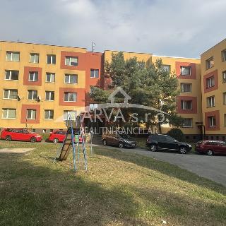 Pronájem bytu 1+1 39 m² Plzeň, Spolková