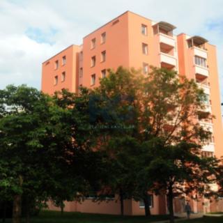 Prodej bytu 1+kk a garsoniéry 31 m² Písek Pražské Předměstí, Třebízského