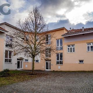 Prodej bytu 2+1 74 m² Písek, Krokova