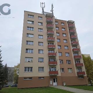 Prodej bytu 3+1 67 m² Písek, Smrkovická