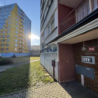 Pronájem bytu 1+kk a garsoniéry 21 m² Milevsko, Nádražní