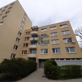 Pronájem bytu 3+1 66 m² Písek, třída Přátelství