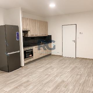 Pronájem bytu 1+kk a garsoniéry 38 m² Písek, Alšovo nám.