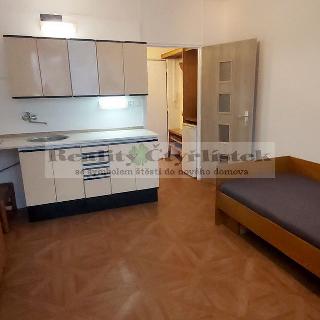 Pronájem bytu 1+kk a garsoniéry 20 m² České Budějovice, Pekárenská