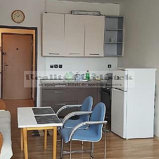 Pronájem bytu 1+kk, garsoniery 33 m&sup2; České Budějovice