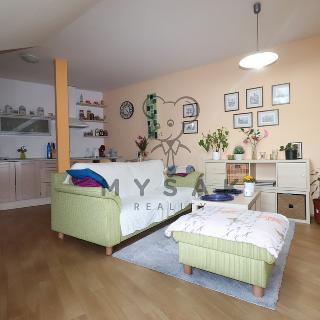 Pronájem bytu 1+kk a garsoniéry 51 m² Kájov