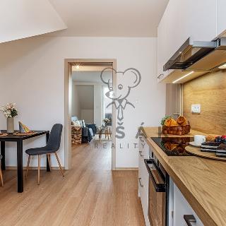 Prodej bytu 3+1 82 m² České Budějovice, Palmová