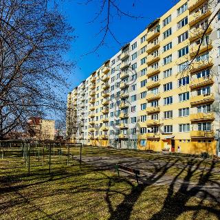 Prodej bytu 3+1 80 m² České Budějovice, U Trojice