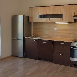 Pronájem bytu 1+kk a garsoniéry 33 m² České Budějovice, U Boru