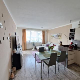 Prodej bytu 2+kk 56 m² České Budějovice, Jírovcova