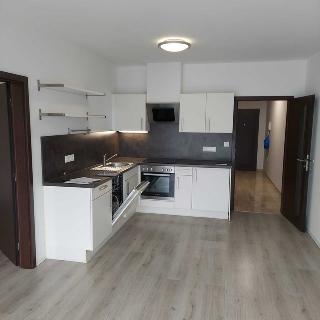 Pronájem bytu 2+kk 52 m² České Budějovice, Riegrova