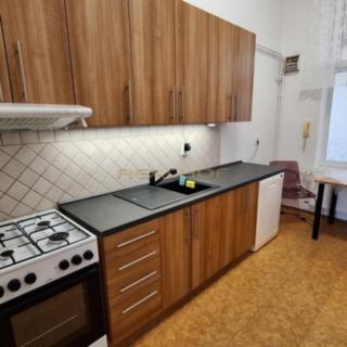 Pronájem bytu 1+1 42 m² Brno