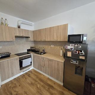 Pronájem bytu 2+kk 50 m² Moravany, Jabloňová