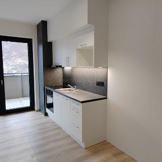 Pronájem bytu 1+kk a garsoniéry 40 m² Brno, Kleštínek