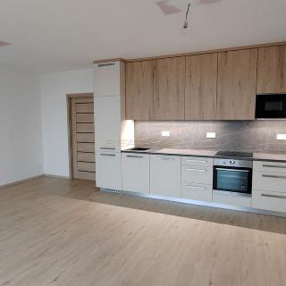 Pronájem bytu 2+kk 59 m² Brno, Wágnerova