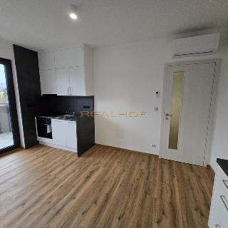 Pronájem bytu 1+1 37 m² Brno