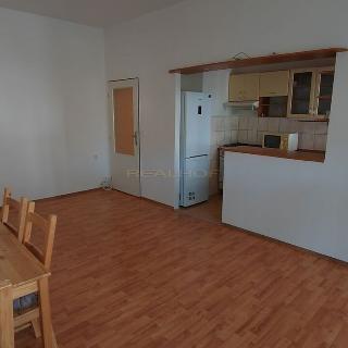 Pronájem bytu 2+1 47 m² Brno, Tábor