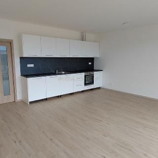 Pronájem bytu 2+kk 59 m² Brno, Wágnerova