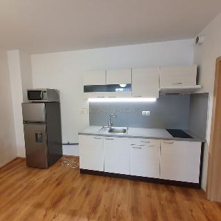 Pronájem bytu 1+kk a garsoniéry 36 m² Moravany, Jabloňová