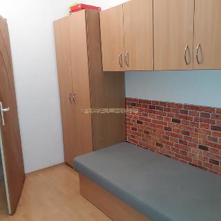 Pronájem bytu 1+kk a garsoniéry 12 m² Brno, Seifertova