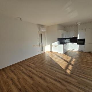 Pronájem bytu 2+kk 55 m² Brno, Kleštínek