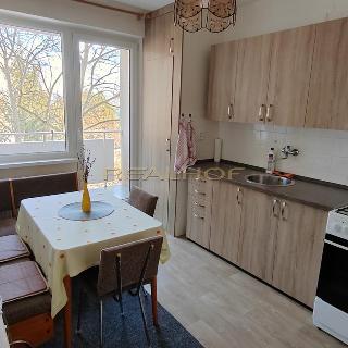 Pronájem bytu 3+1 87 m² Brno, Větrná