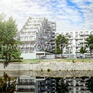 Pronájem bytu 1+kk a garsoniéry 28 m² České Budějovice, Volejbalistů