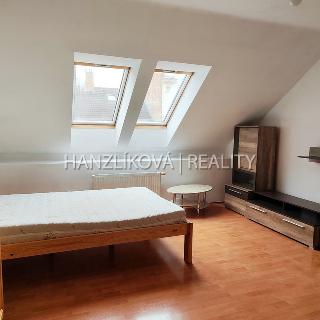 Pronájem bytu 1+kk a garsoniéry 26 m² České Budějovice, Puklicova