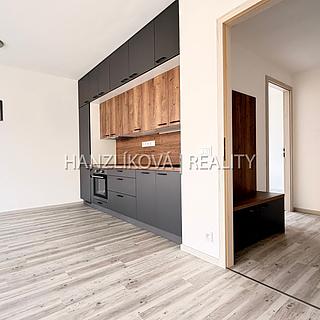 Pronájem bytu 2+kk 49 m&sup2; České Budějovice