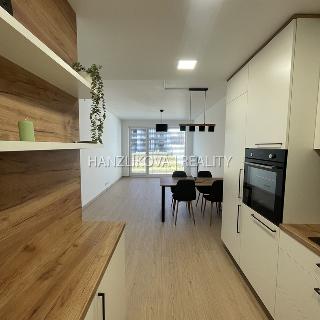 Pronájem bytu 2+kk 52 m² České Budějovice, Branišovská