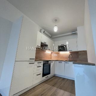 Pronájem bytu 2+kk 52 m² České Budějovice, Branišovská