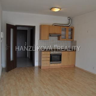 Pronájem bytu 1+kk a garsoniéry 35 m² České Budějovice, Otakarova