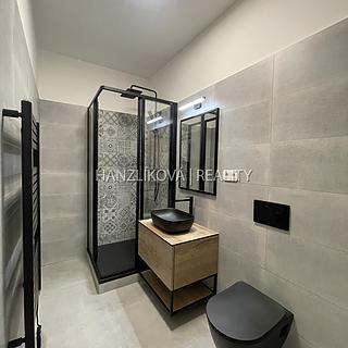 Pronájem bytu 2+kk 52 m&sup2; České Budějovice