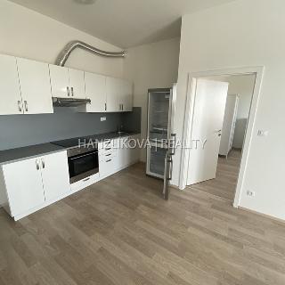 Pronájem bytu 2+kk 50 m² České Budějovice, U Lesa