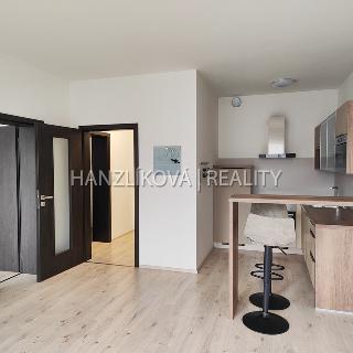 Pronájem bytu 2+kk 45 m² České Budějovice, Volejbalistů