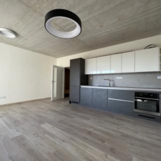 Pronájem bytu 1+kk, garsoniery 39 m² České Budějovice