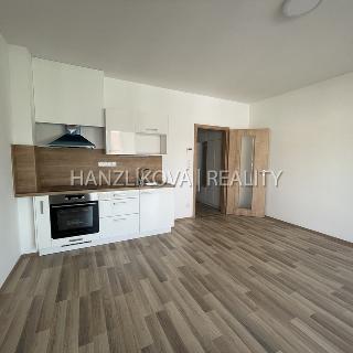 Pronájem bytu 1+kk a garsoniéry 33 m² České Budějovice, 