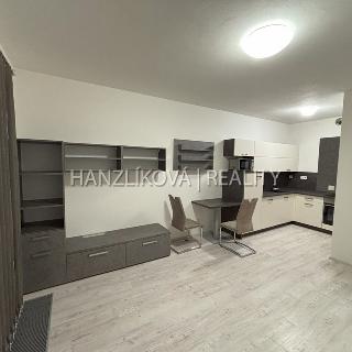 Pronájem bytu 2+kk 45 m² České Budějovice, Volejbalistů