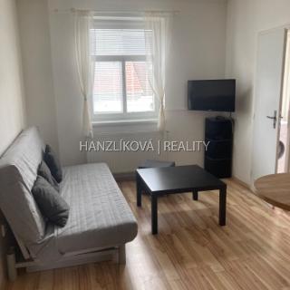 Pronájem bytu 1+kk a garsoniéry 21 m² České Budějovice, Lipenská