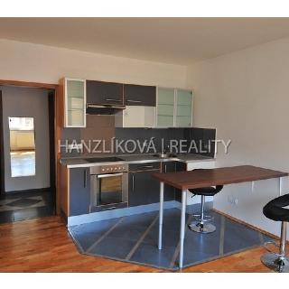 Pronájem bytu 2+kk 35 m² České Budějovice, Dělnická