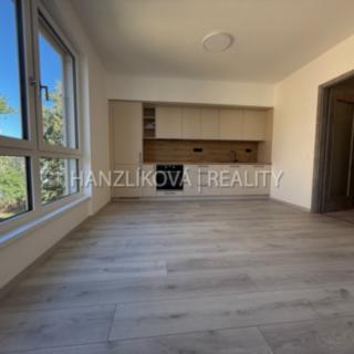 Pronájem bytu 3+kk 54 m² České Budějovice