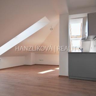 Pronájem bytu 1+kk a garsoniéry 47 m² České Budějovice, Pekárenská