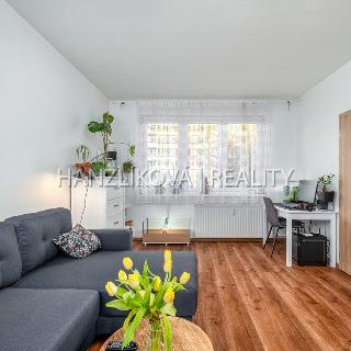 Prodej bytu 2+kk 44 m² České Budějovice, Vodňanská