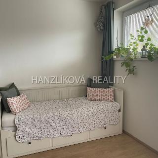 Pronájem bytu 1+kk a garsoniéry 32 m² České Budějovice, B. Smetany