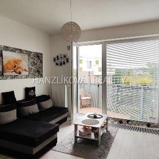 Pronájem bytu 2+kk 44 m² České Budějovice