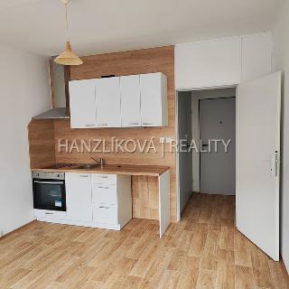 Pronájem bytu 1+kk a garsoniéry 25 m² České Budějovice, Pekárenská