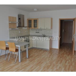 Pronájem bytu 1+kk a garsoniéry 36 m² České Budějovice, Holečkova