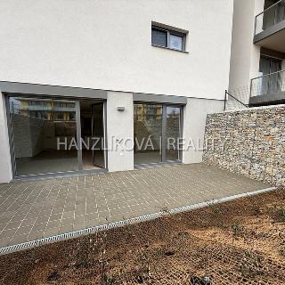 Pronájem bytu 2+kk 100 m² České Budějovice